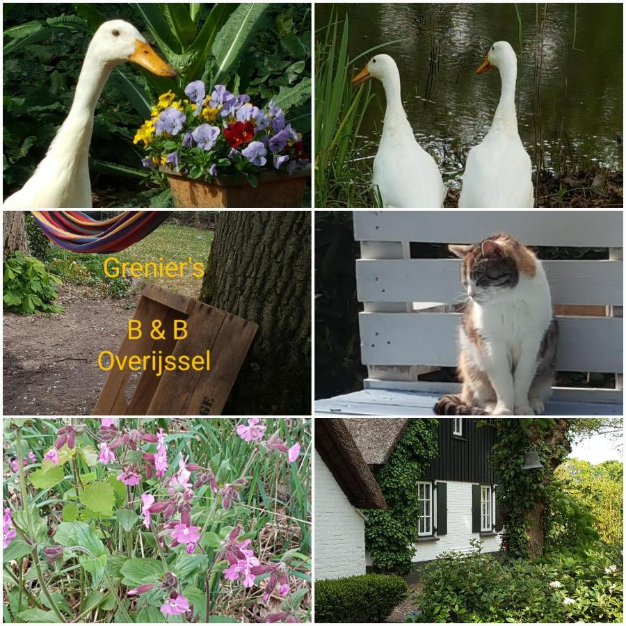 Punthorst Grenier'S B&B 외부 사진